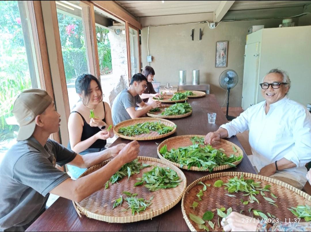 Dwan Tea Mountain Side Bed & Breakfast Jatiluwih Ngoại thất bức ảnh