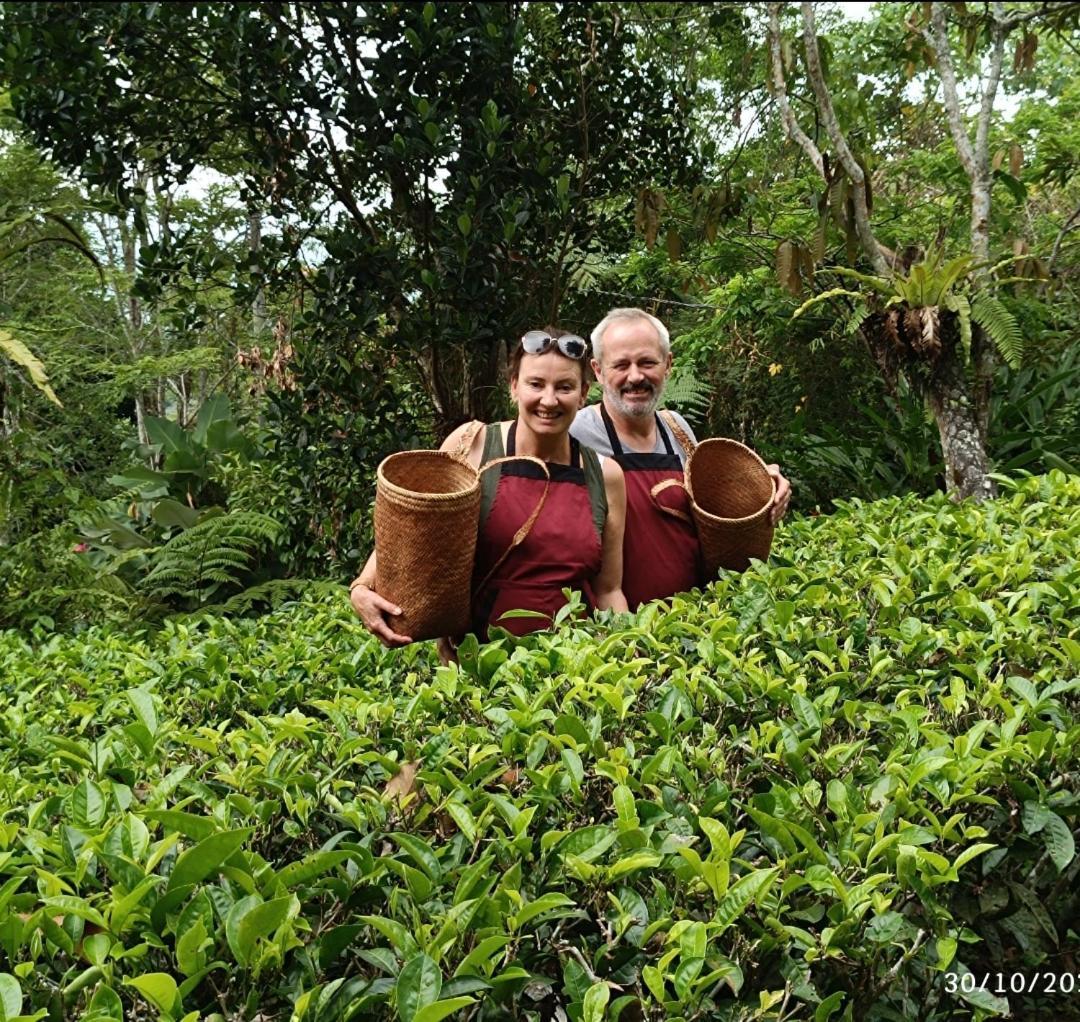Dwan Tea Mountain Side Bed & Breakfast Jatiluwih Ngoại thất bức ảnh