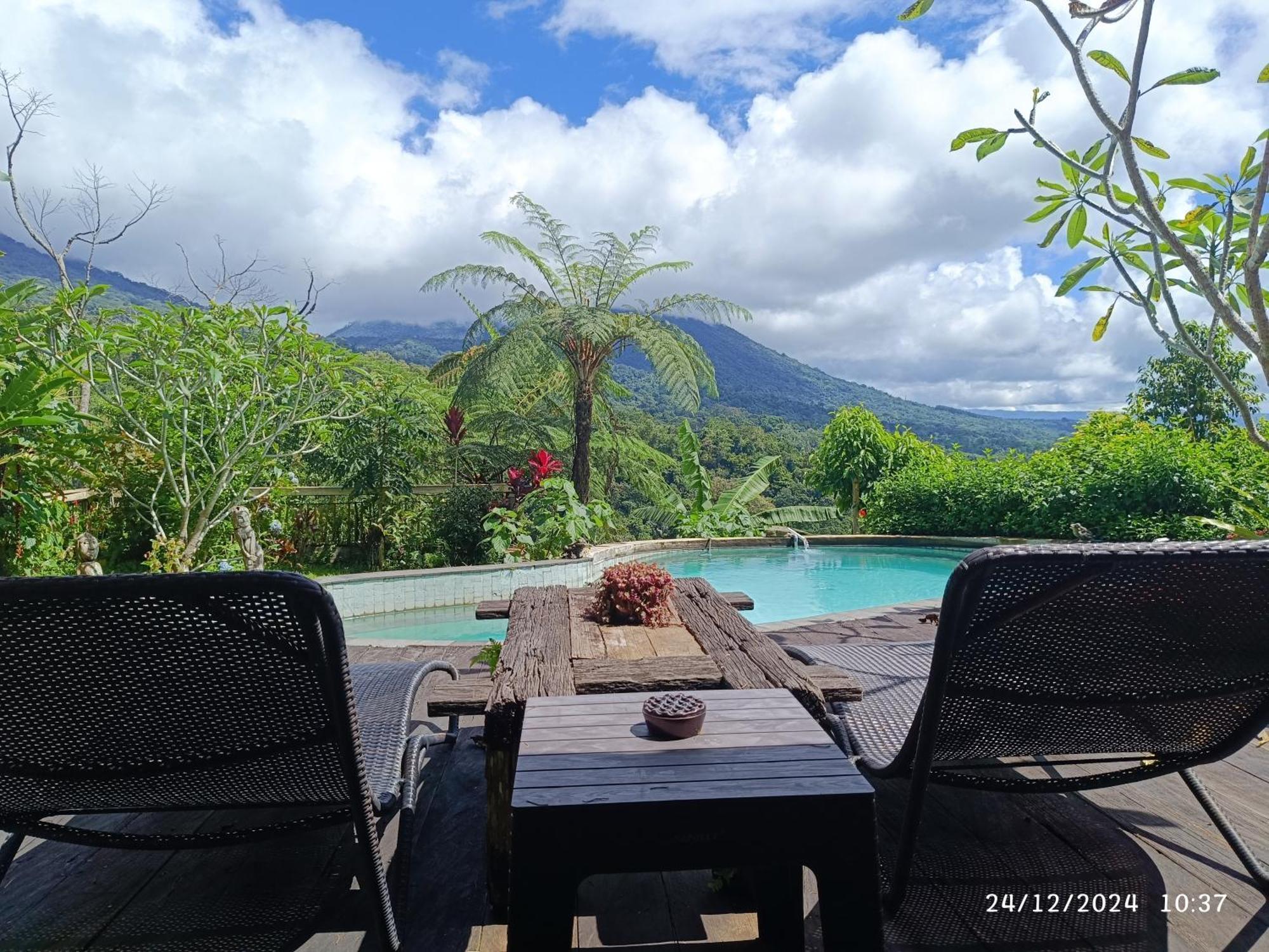 Dwan Tea Mountain Side Bed & Breakfast Jatiluwih Ngoại thất bức ảnh