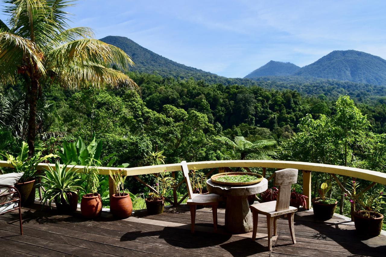 Dwan Tea Mountain Side Bed & Breakfast Jatiluwih Ngoại thất bức ảnh