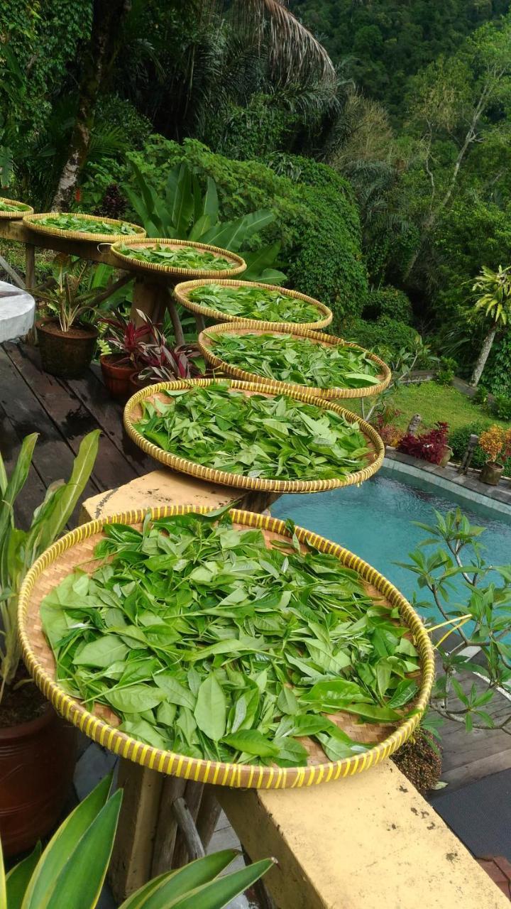 Dwan Tea Mountain Side Bed & Breakfast Jatiluwih Ngoại thất bức ảnh
